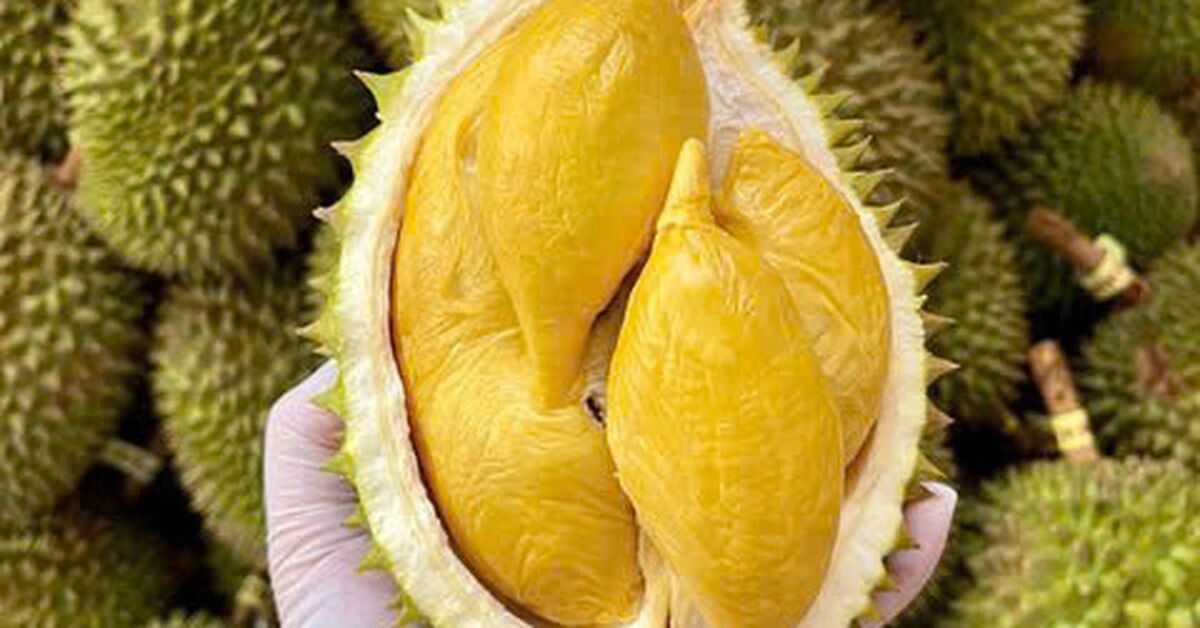 When Vietnam hands you the creamiest durian on earth